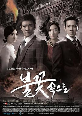 seo的优化主要内容